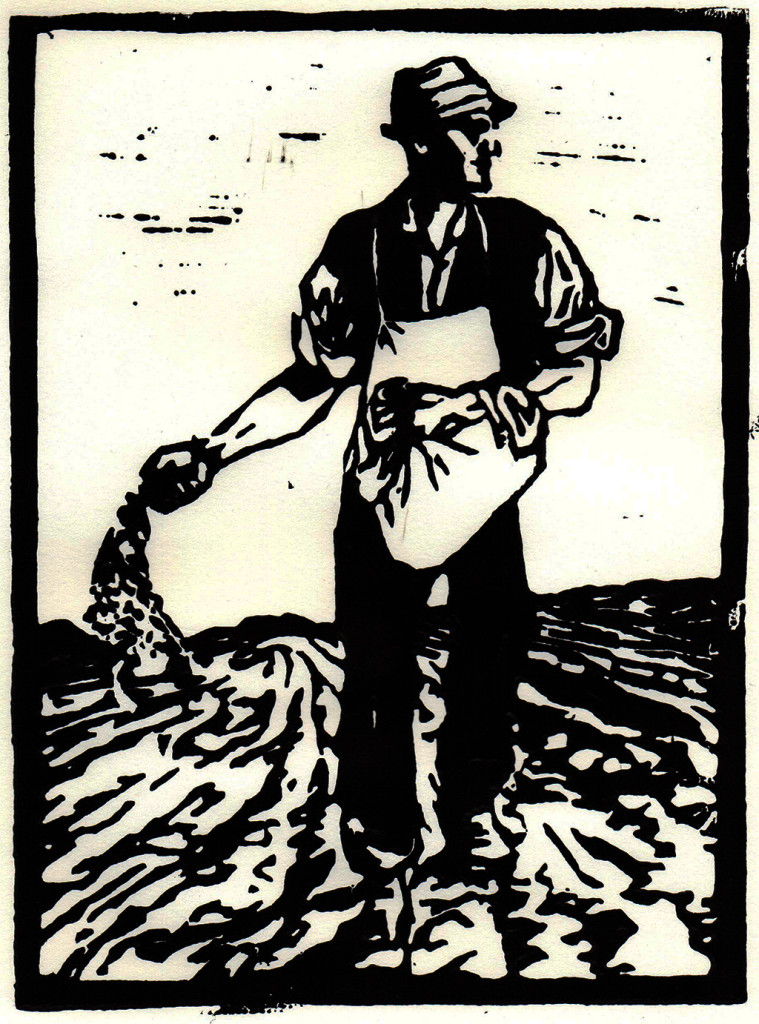 "Wir ernten, was wir säen / You reap what you sow", stebü, 08.07.2017, Linolschnitt, 15,0cm x 21,5cm 